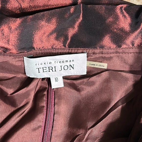 Tery Jon Taffeta shimmer dress by Ricki Freeman  Burgundy ,fit&flare,sz 10 ,EC - Picture 7 of 15